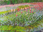 Il giardino dei tulipani 2